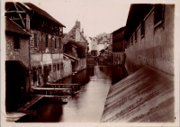 LIV18966