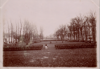 LIV18967