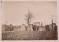 LIV18976