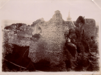 LIV18981