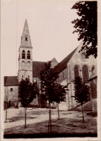 LIV18983