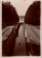 LIV18984