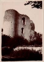 LIV18997