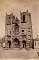 LIV19004
