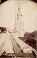 LIV19008