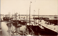 LIV19013