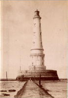 LIV19015
