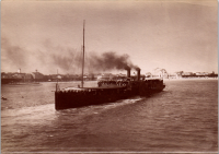 LIV19017