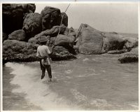 LIV19034