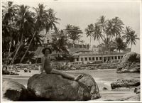 LIV19036