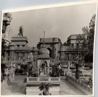 LIV19049