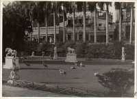 LIV19052