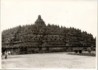 LIV19055