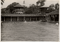 LIV19056