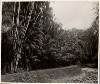 LIV19057