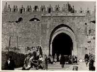 LIV19059