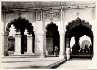 LIV19083