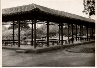 LIV19109