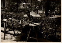 LIV19112