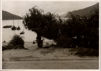 LIV19113