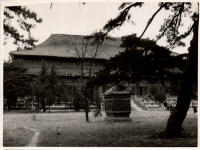 LIV19117