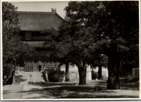 LIV19126