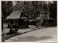 LIV19131