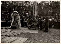 LIV19134