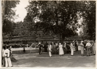 LIV19153