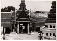 LIV19159