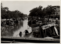 LIV19163