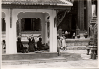 LIV19165