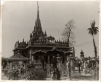 LIV19172