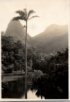 LIV19183