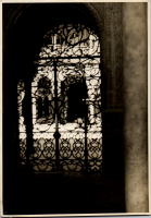 LIV19189