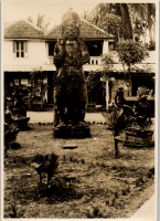 LIV19193