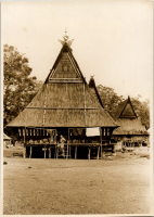 LIV19195