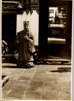 LIV19196