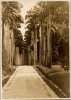 LIV19198