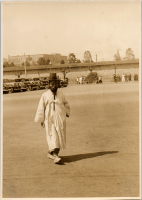 LIV19203