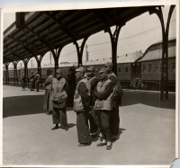LIV19209