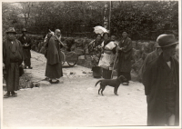 LIV19214