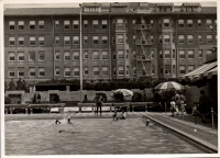 LIV19224
