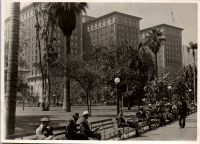 LIV19225