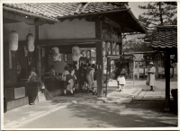 LIV19226