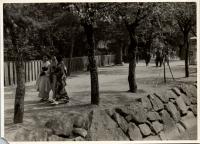 LIV19227
