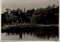 LIV19232
