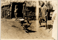 LIV19240