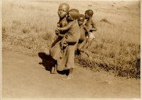 LIV19241