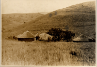 LIV19242